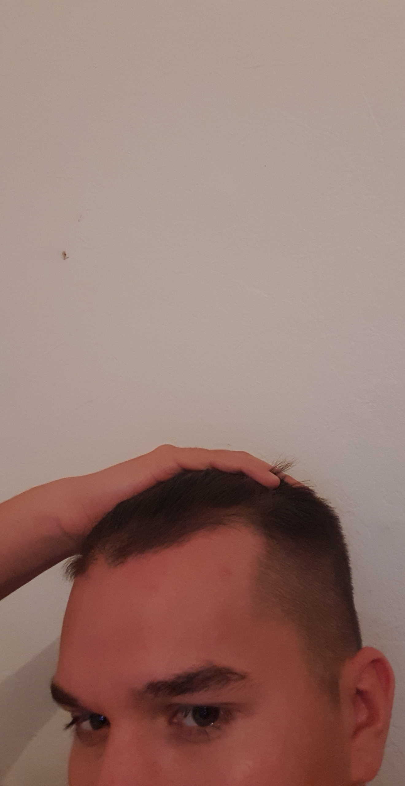 /fud/index.php/fa/27077/0/