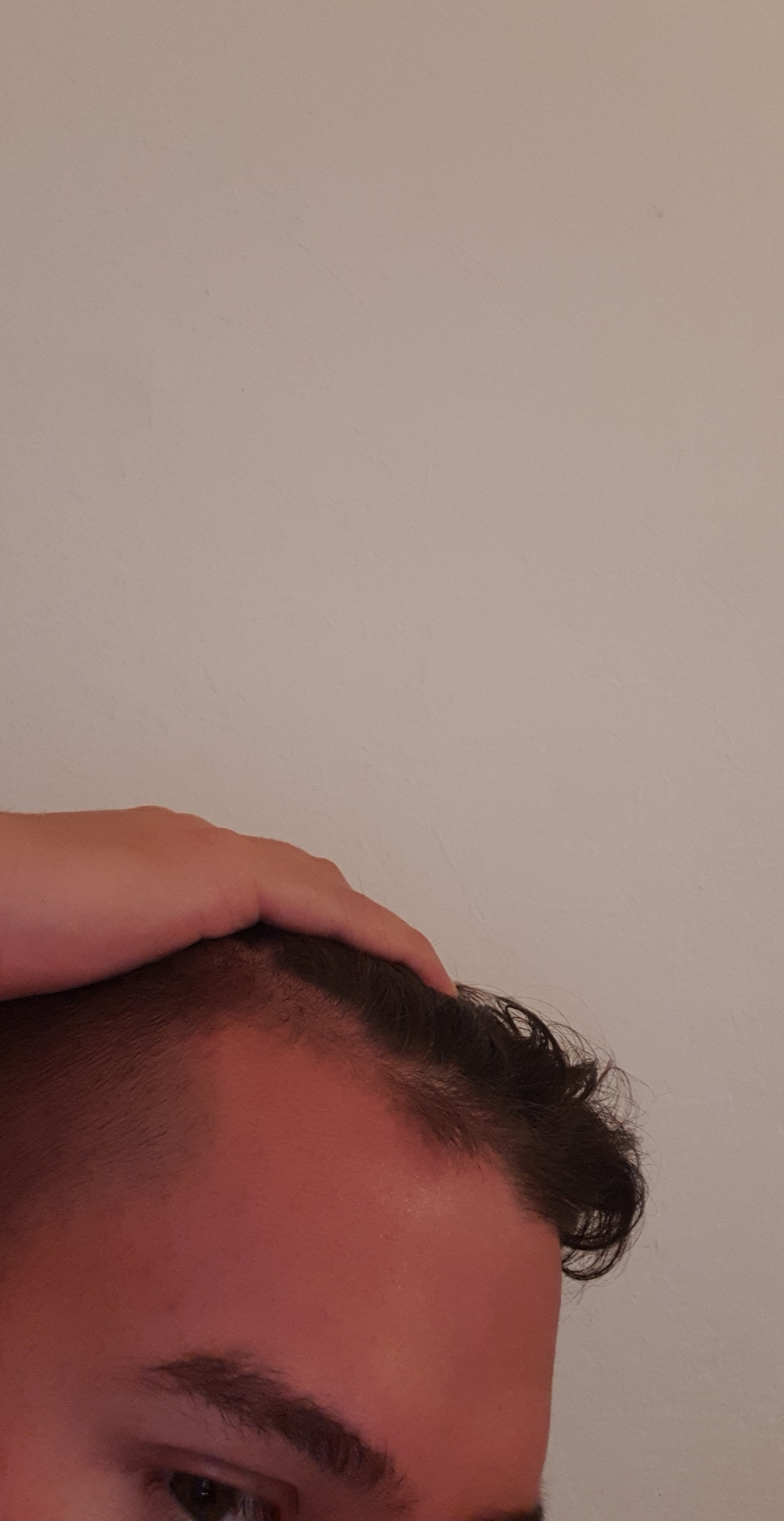 /fud/index.php/fa/27080/0/