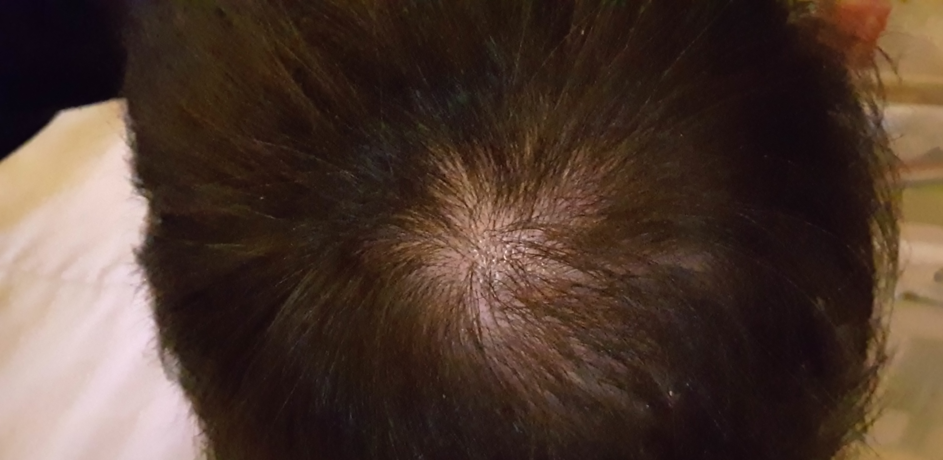 /fud/index.php/fa/27267/0/