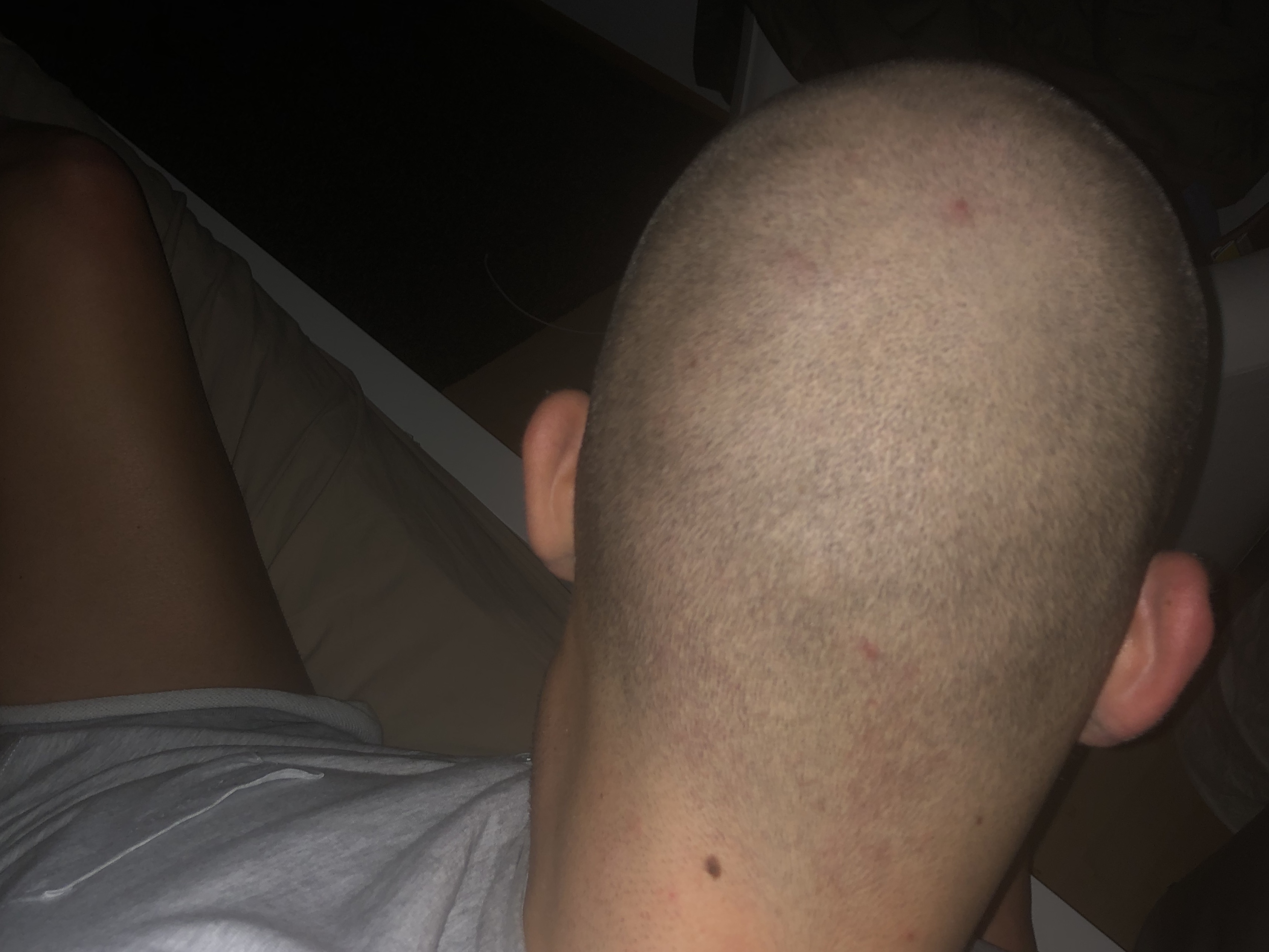 /fud/index.php/fa/27313/0/