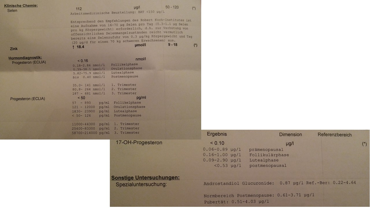 /fud/index.php/fa/27918/0/