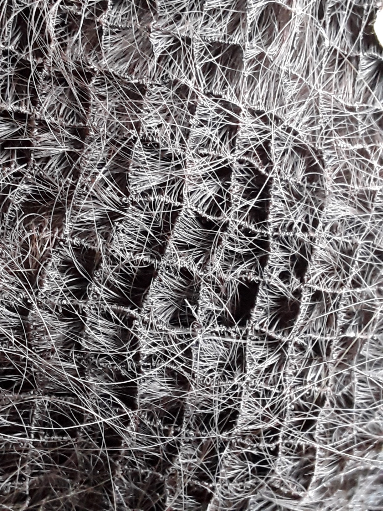 /fud/index.php/fa/28328/0/