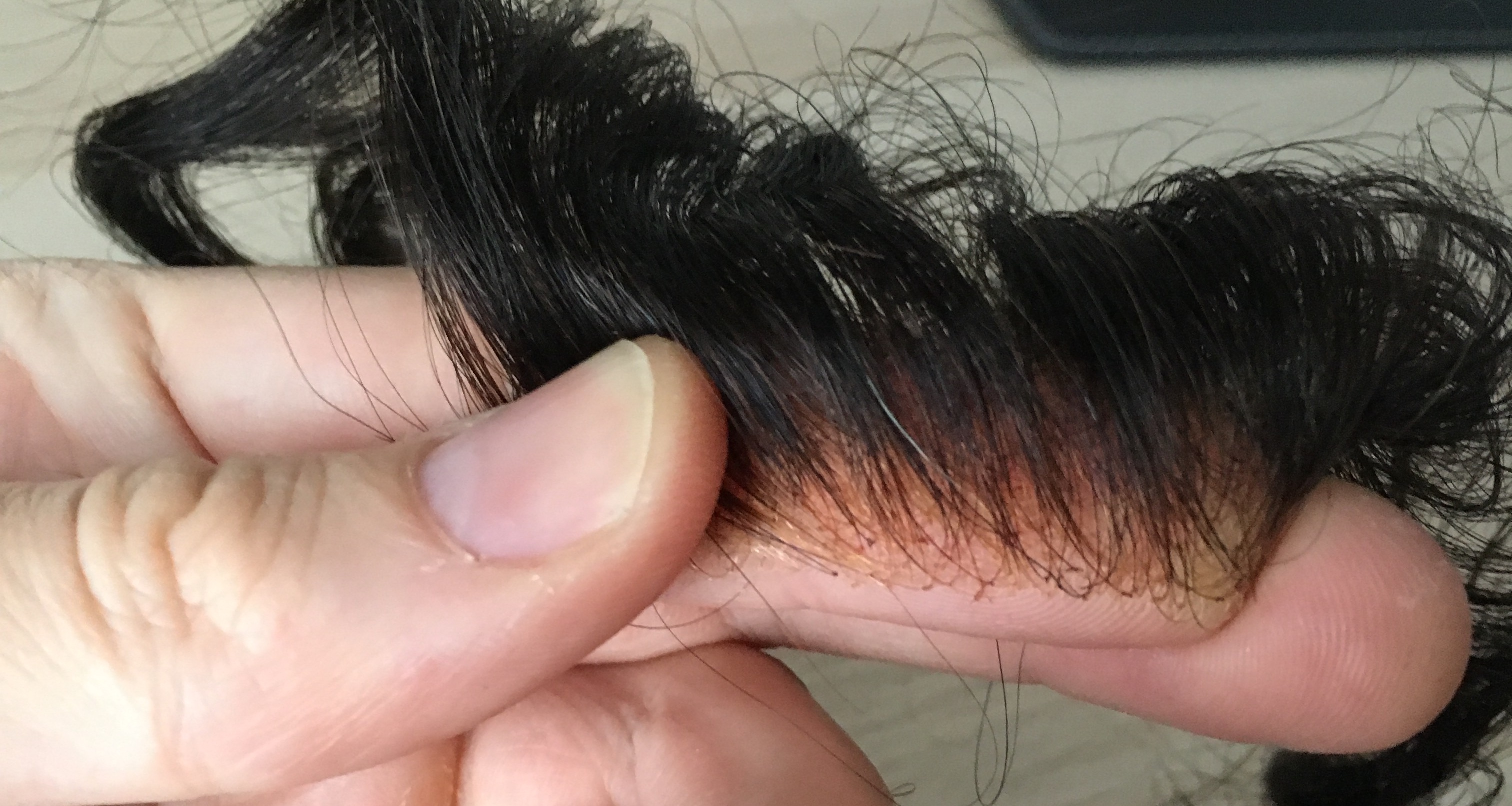 /fud/index.php/fa/28367/0/