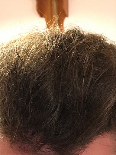 /fud/index.php/fa/28805/0/