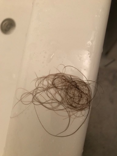 /fud/index.php/fa/28809/0/