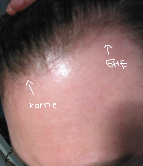 index.php/fa/2885/0/