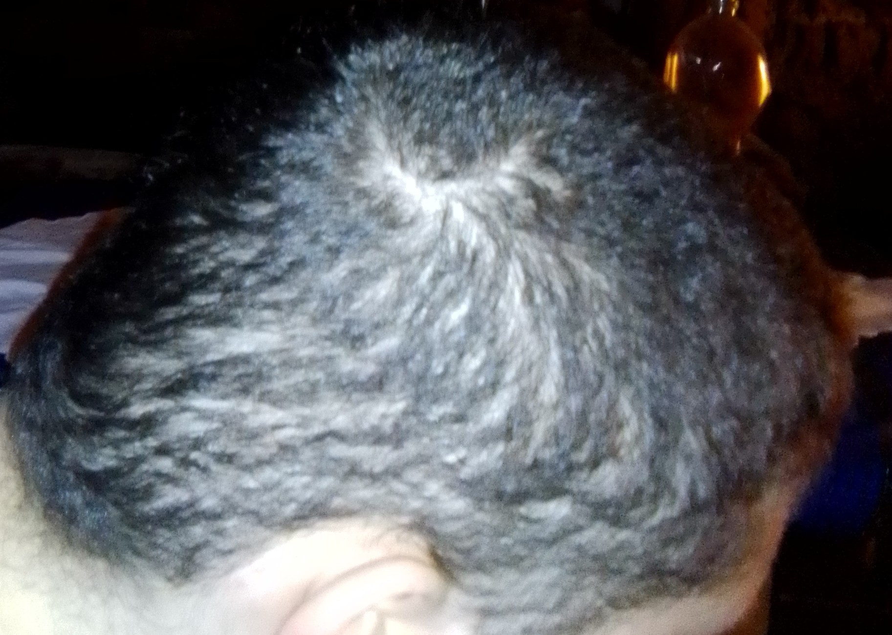 /fud/index.php/fa/29041/0/