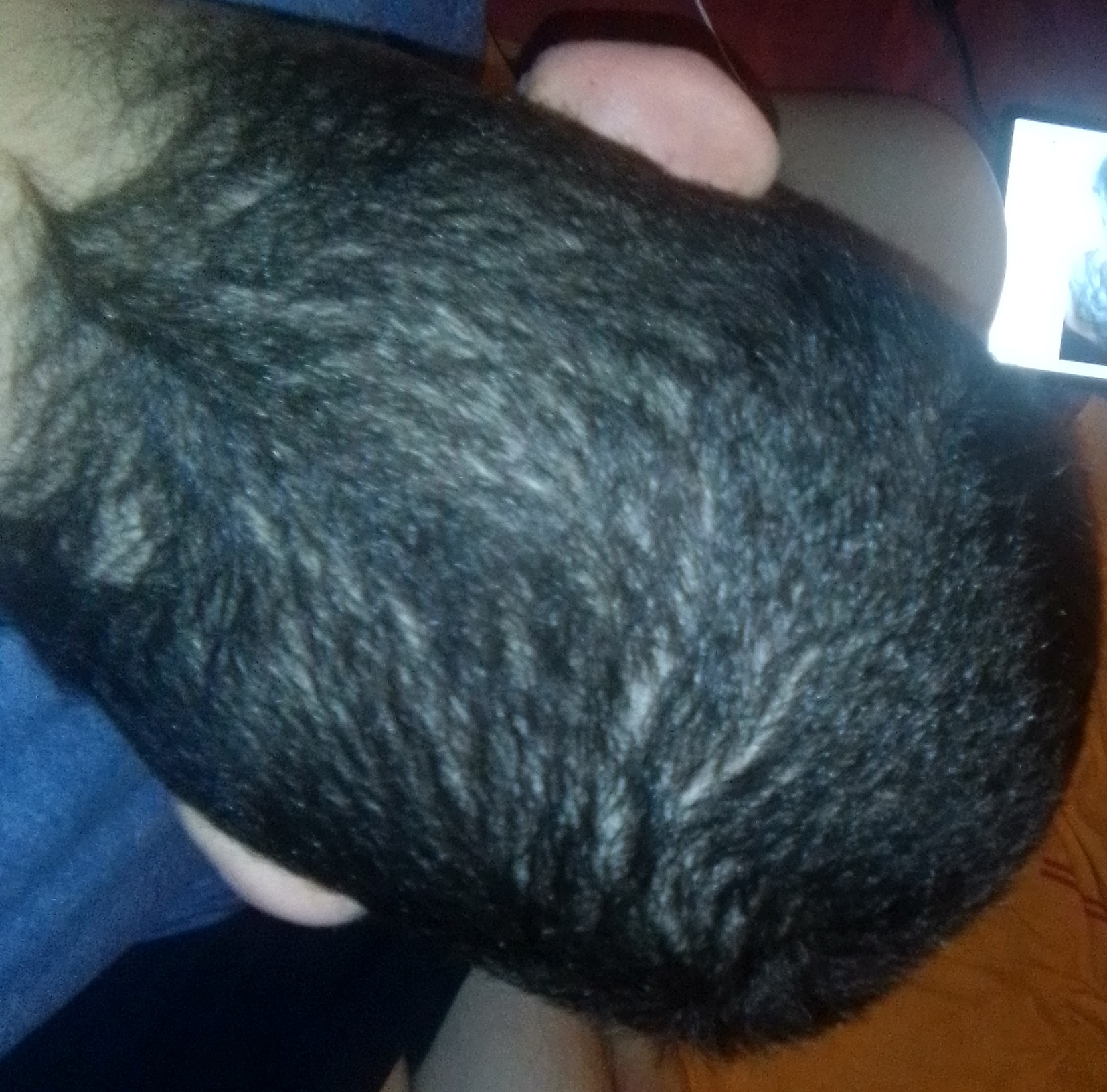 /fud/index.php/fa/29042/0/