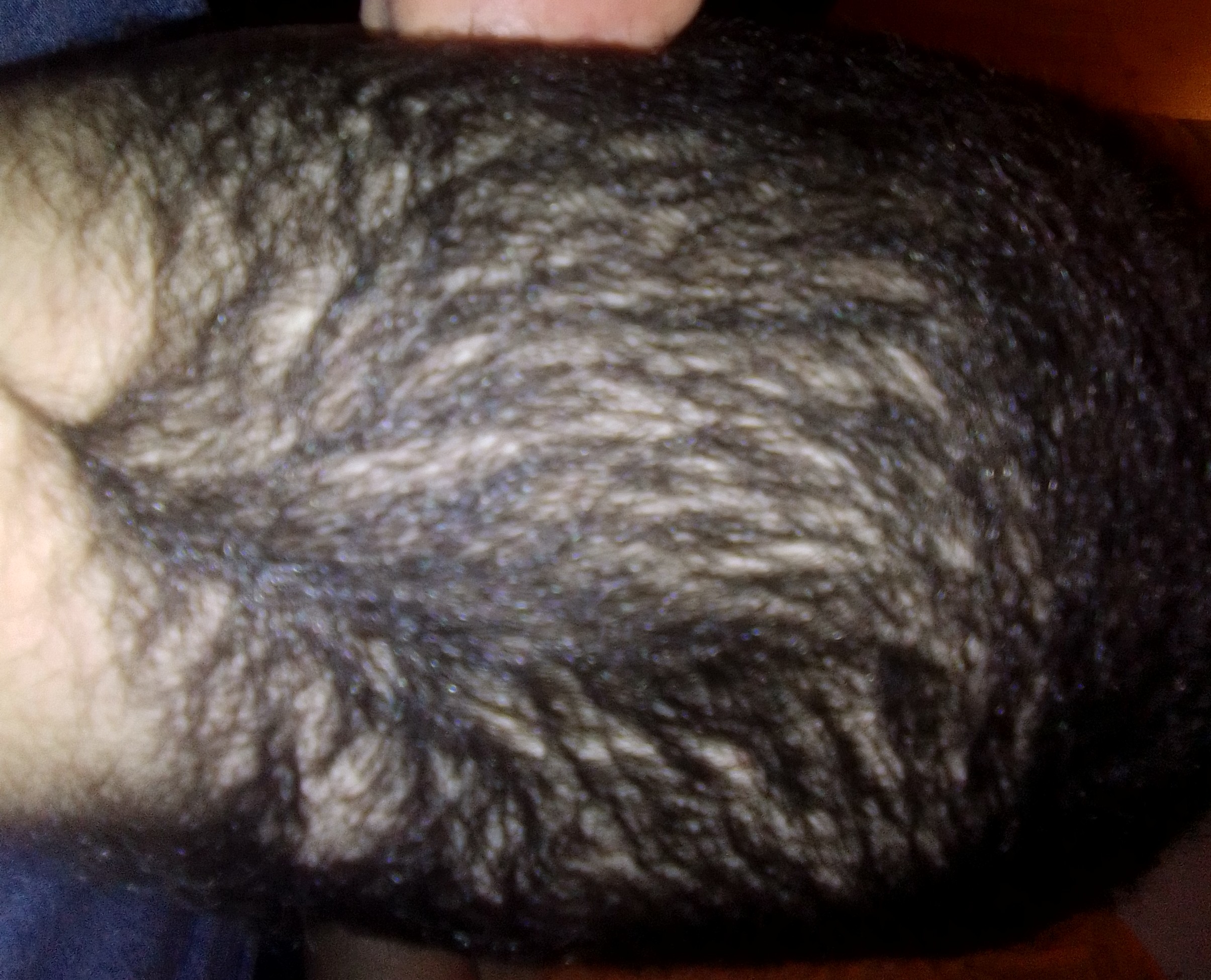 /fud/index.php/fa/29043/0/