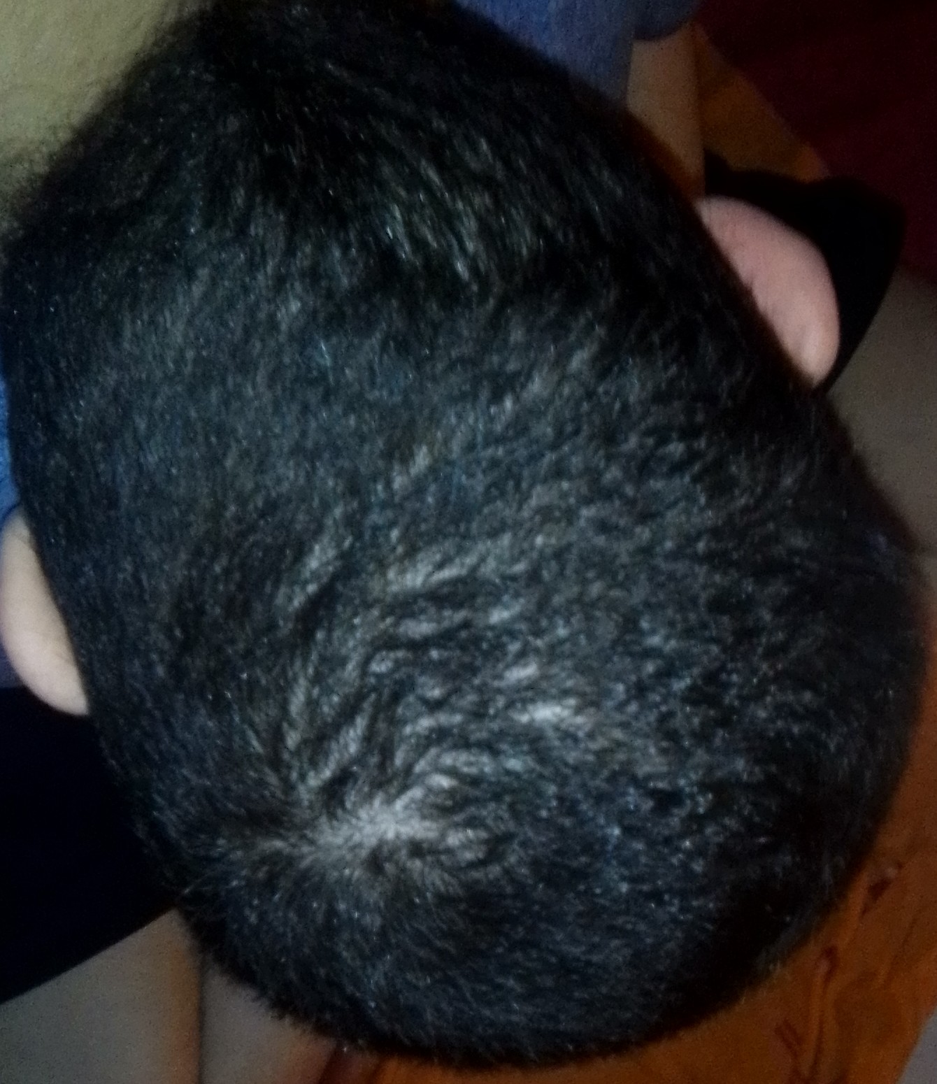 /fud/index.php/fa/29044/0/