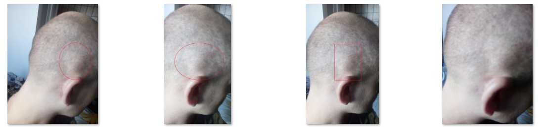 /fud/index.php/fa/29204/0/