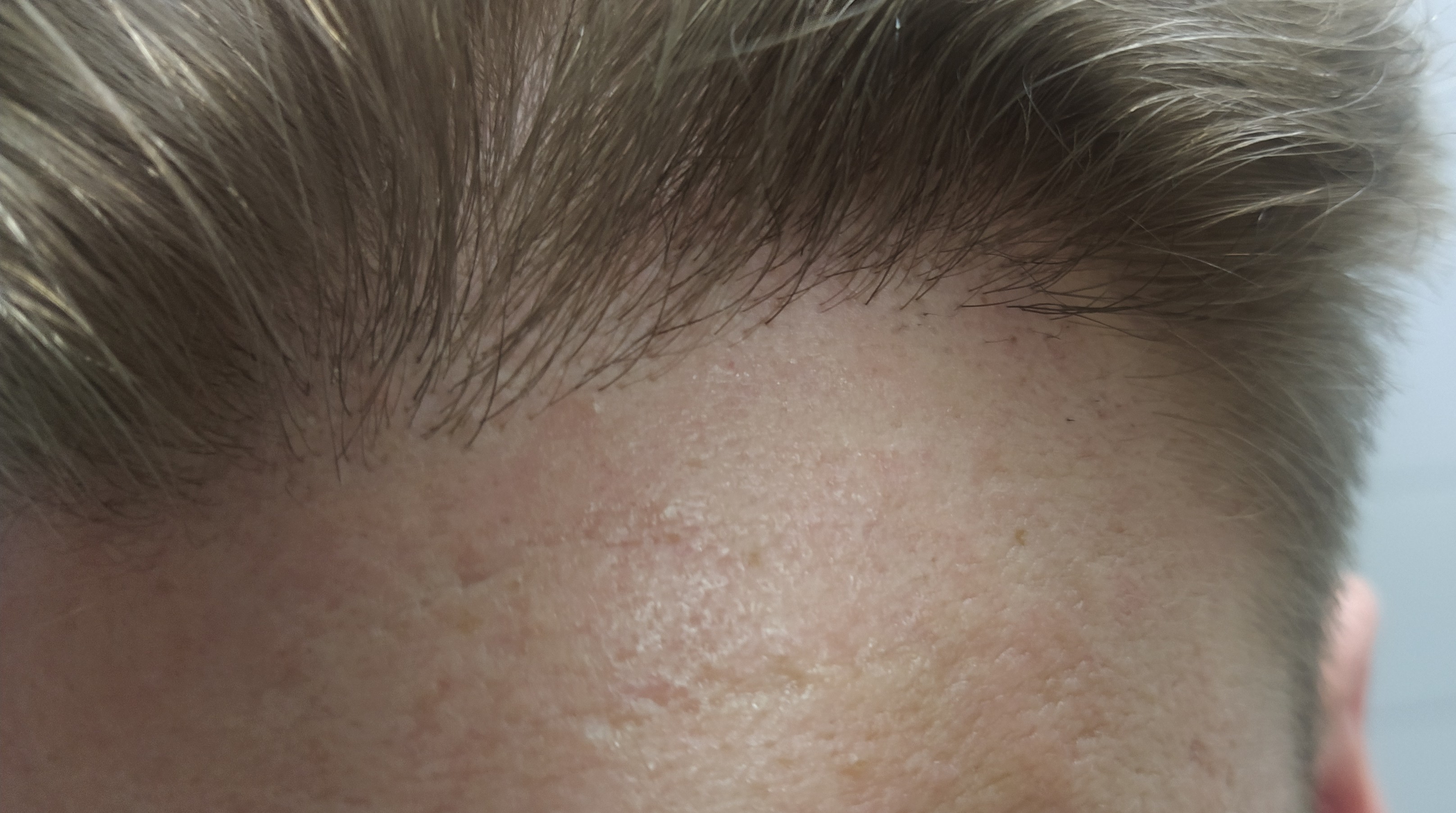 /fud/index.php/fa/30270/0/