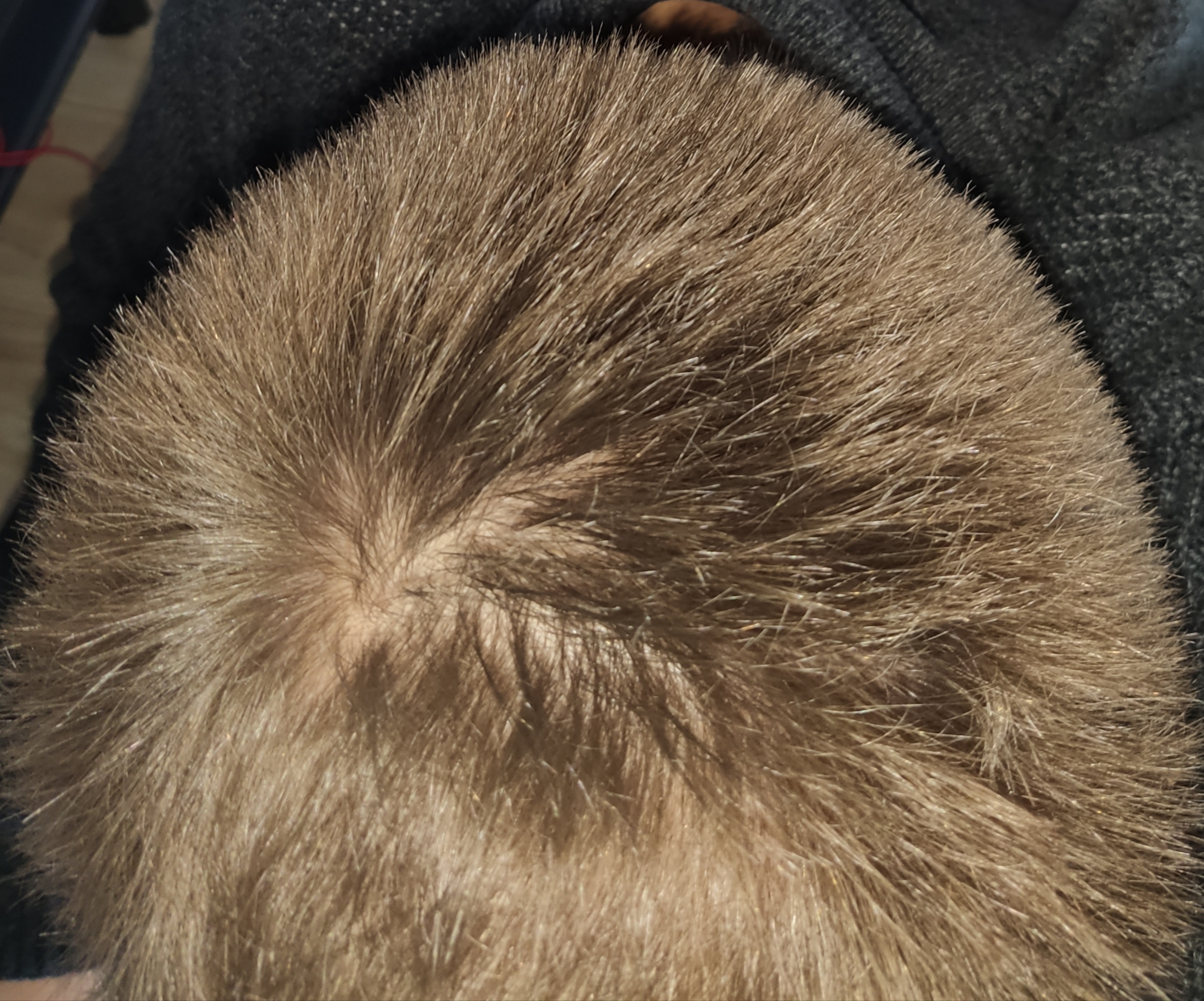 /fud/index.php/fa/30360/0/