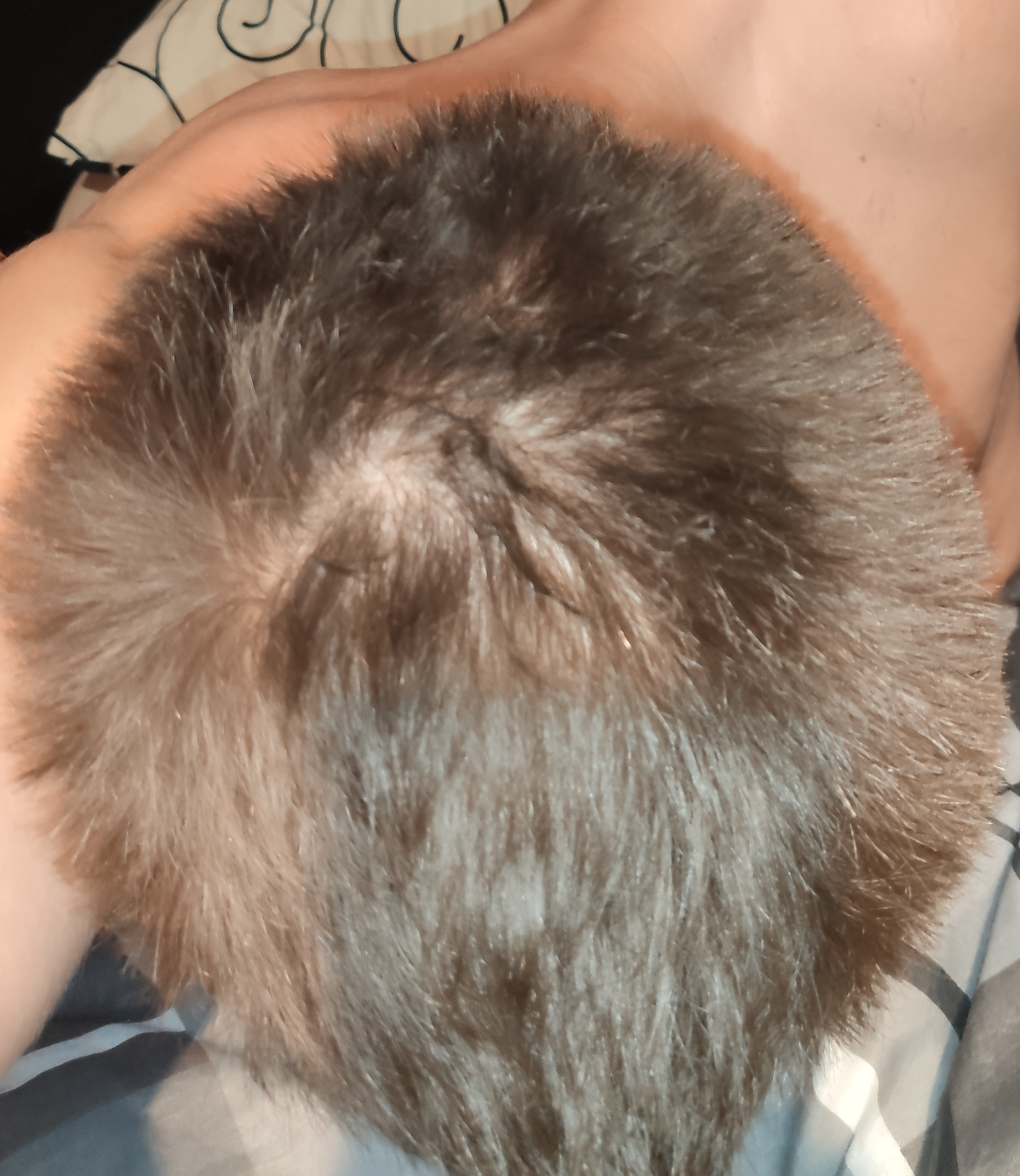 /fud/index.php/fa/30361/0/