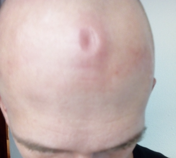 /fud/index.php/fa/30390/0/