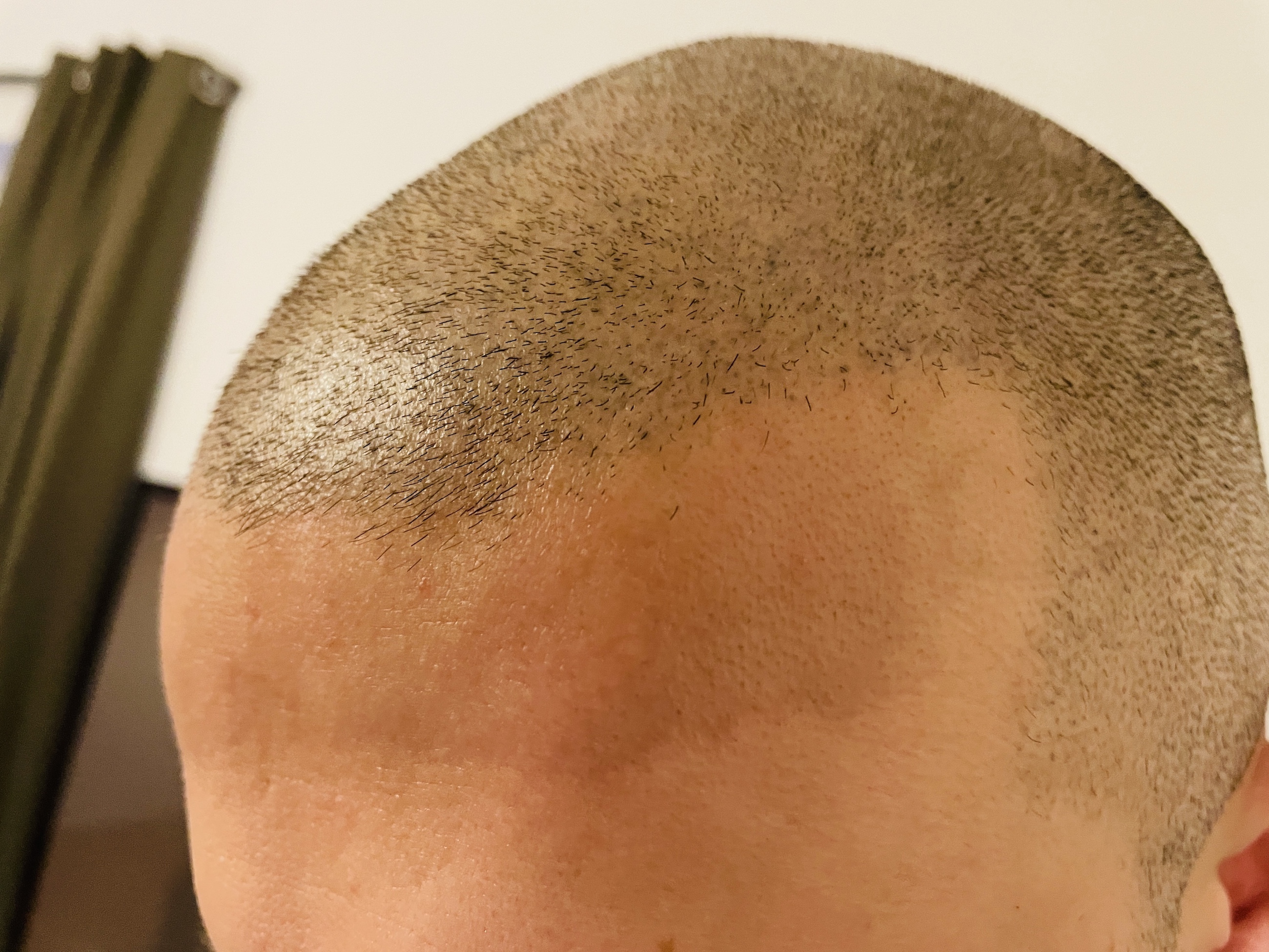 /fud/index.php/fa/31254/0/