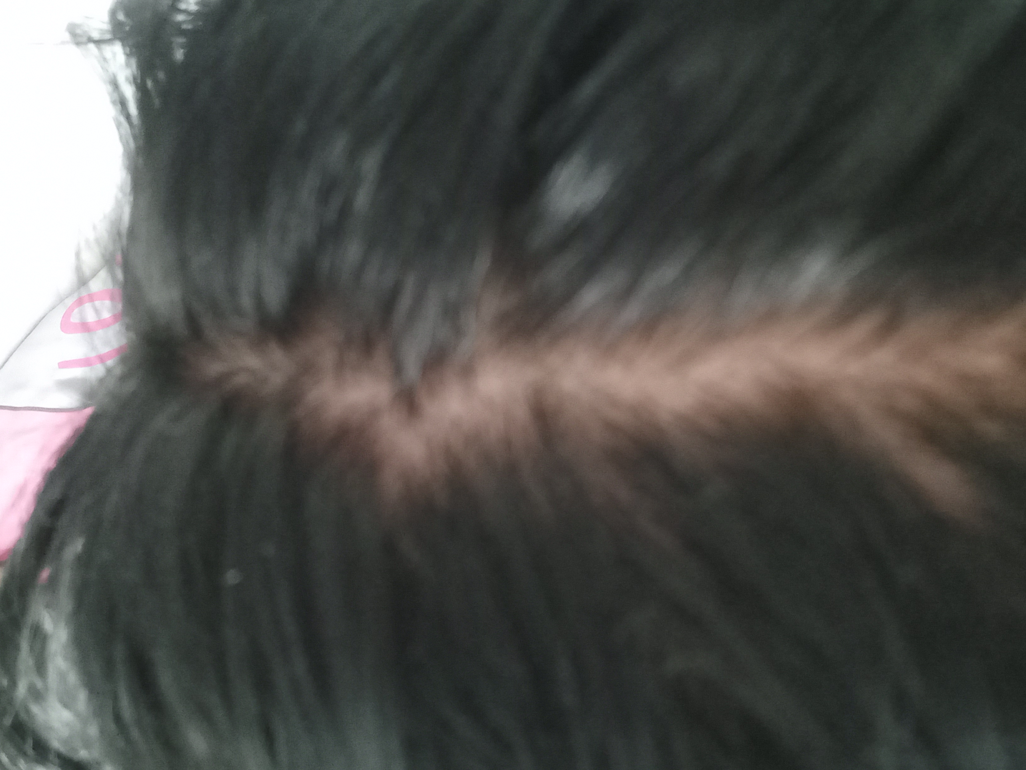 /fud/index.php/fa/31925/0/