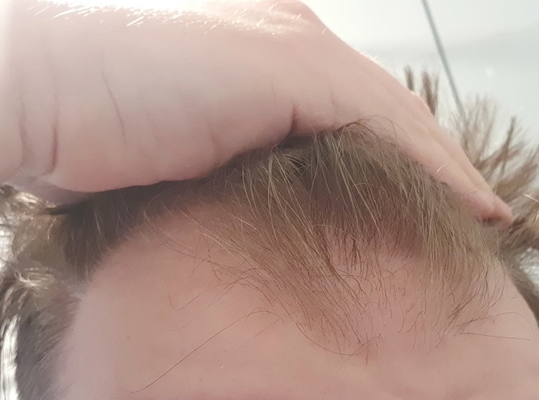 /fud/index.php/fa/32909/0/