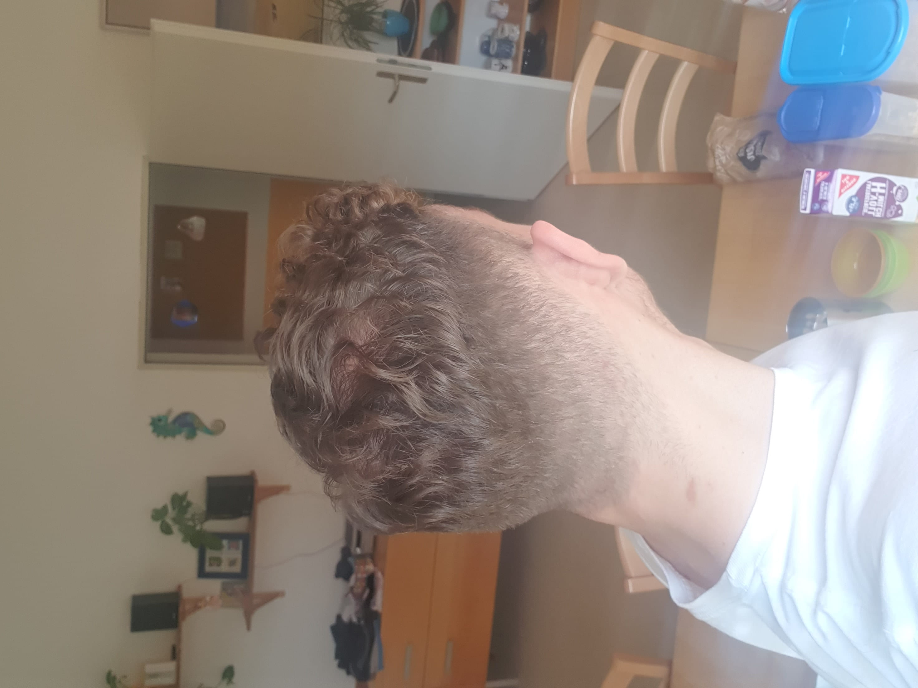 /fud/index.php/fa/32978/0/