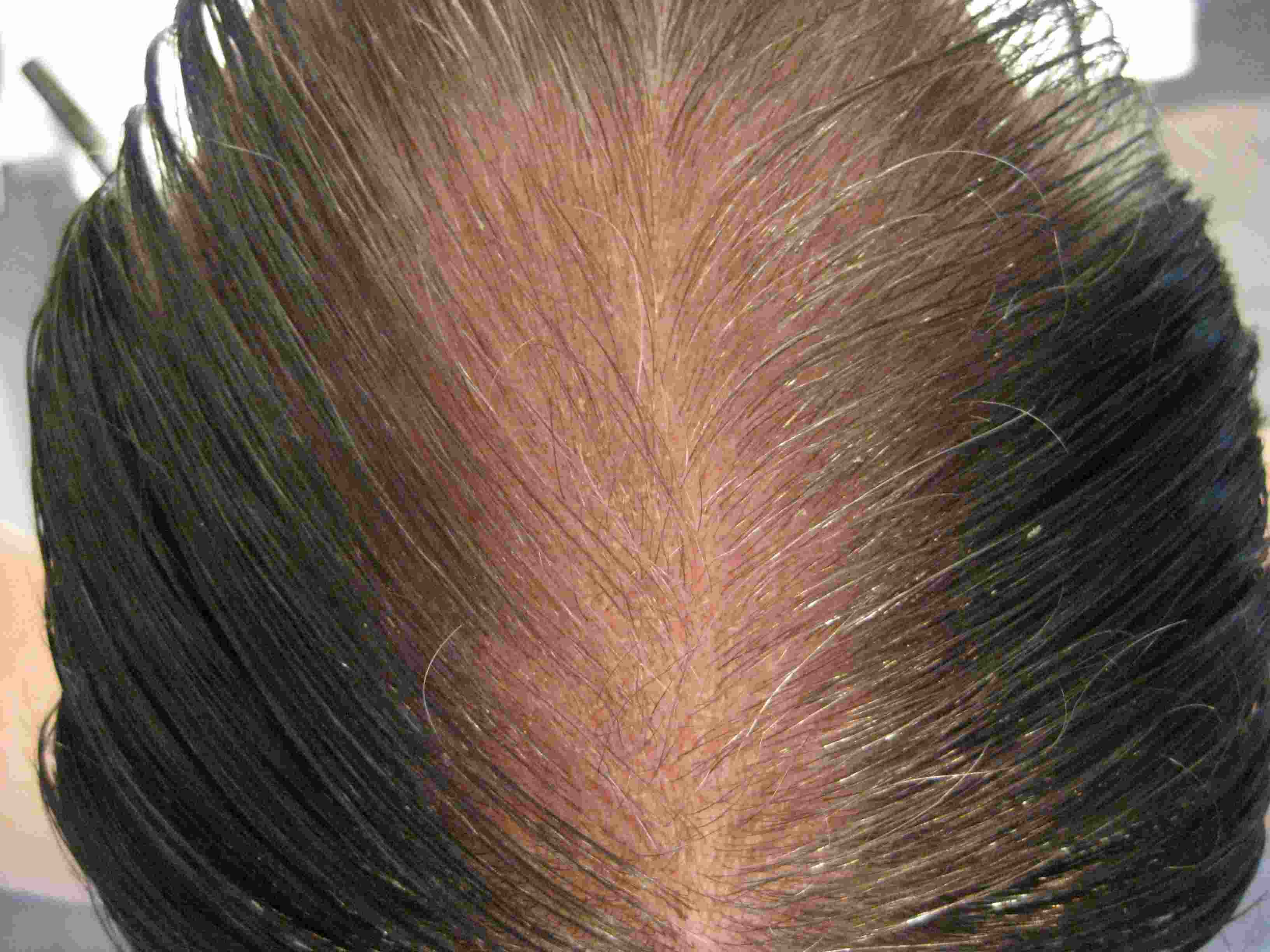 /fud/index.php/fa/33136/0/