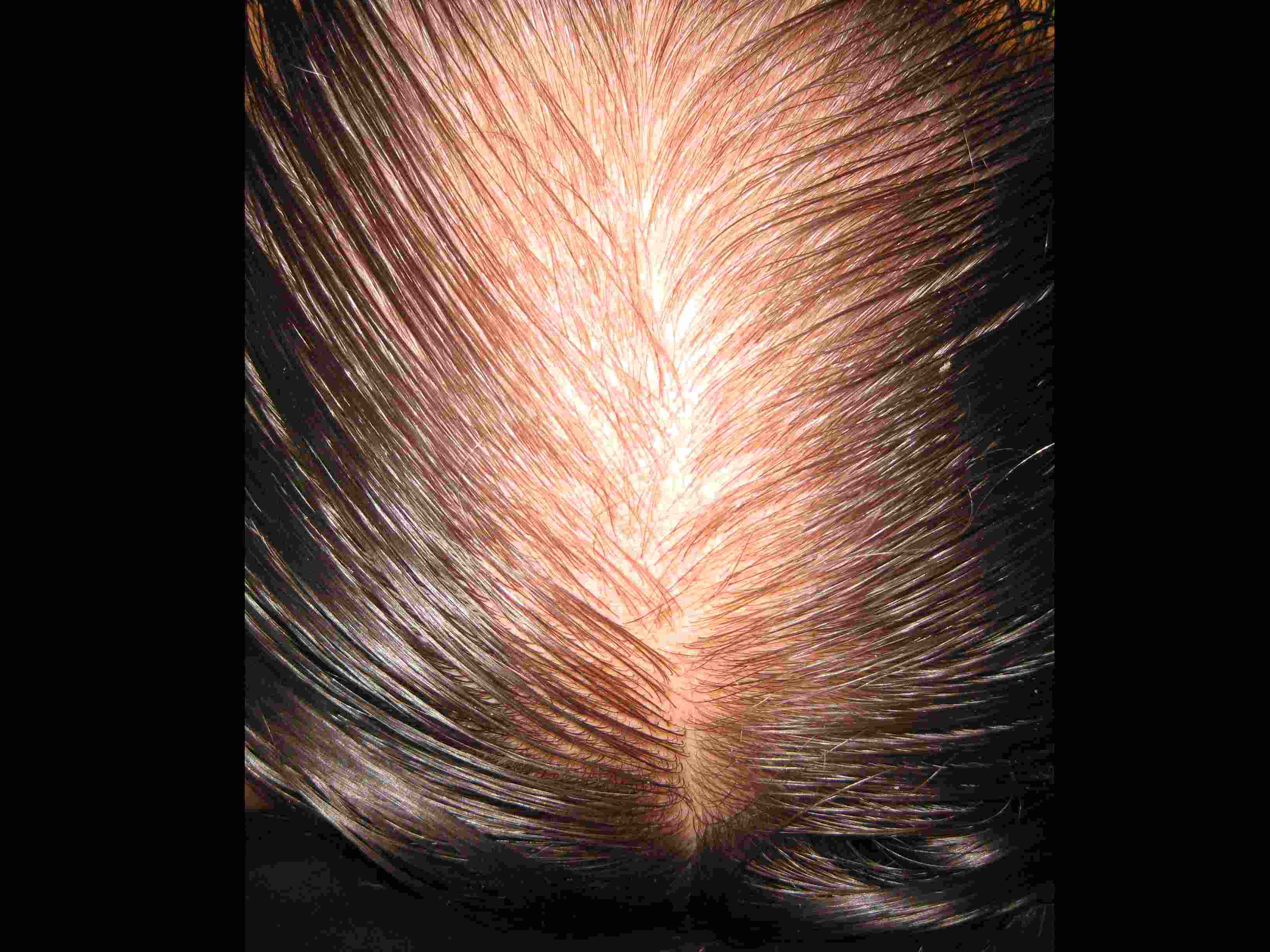 /fud/index.php/fa/33137/0/