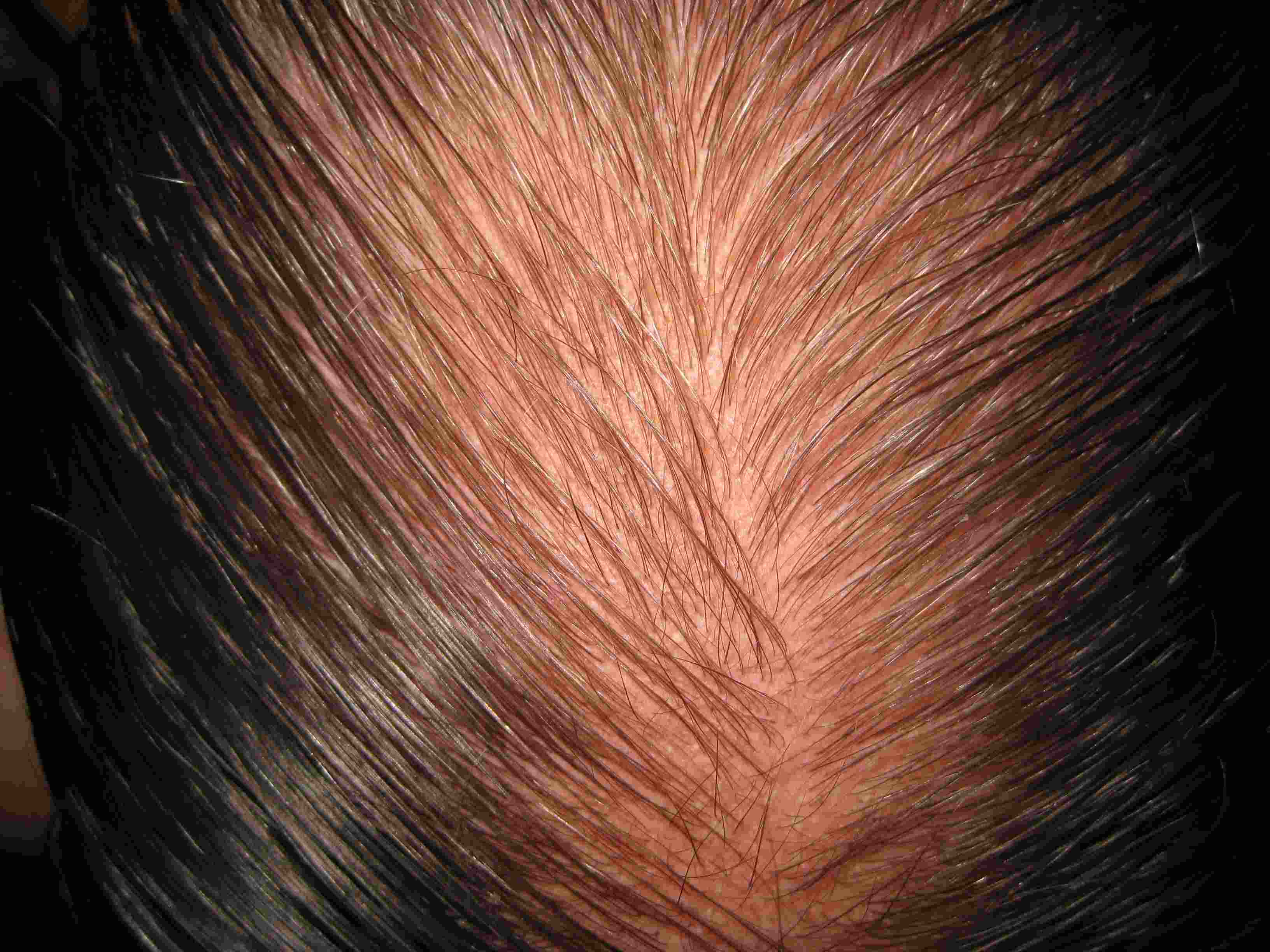 /fud/index.php/fa/33139/0/