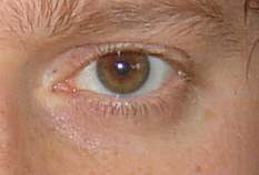 index.php/fa/3334/0/