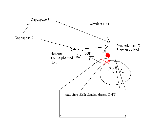 index.php/fa/3349/0/