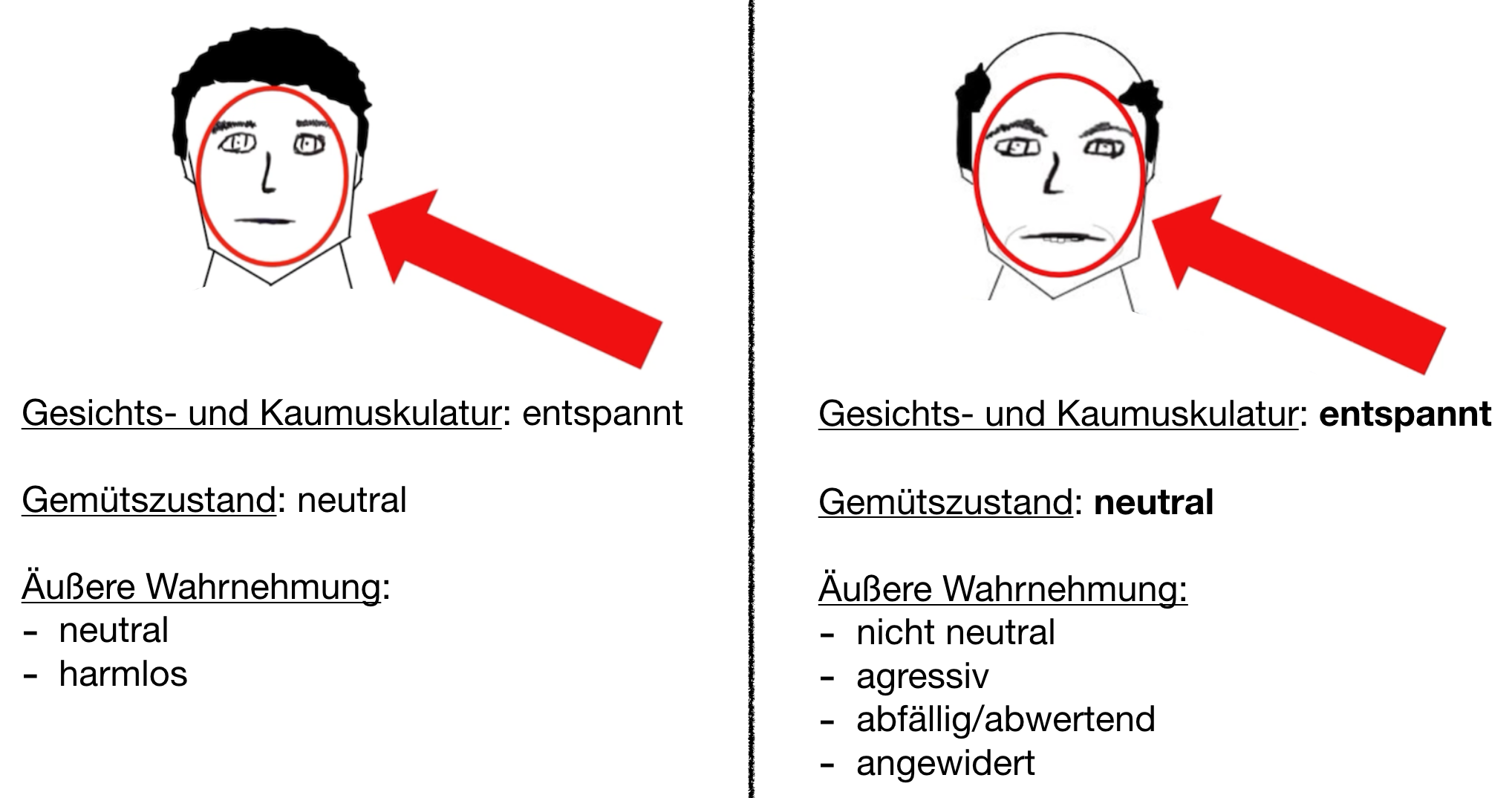 /fud/index.php/fa/33671/0/