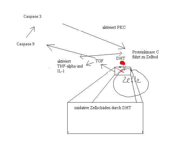 index.php/fa/3448/0/