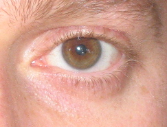 index.php/fa/3457/0/