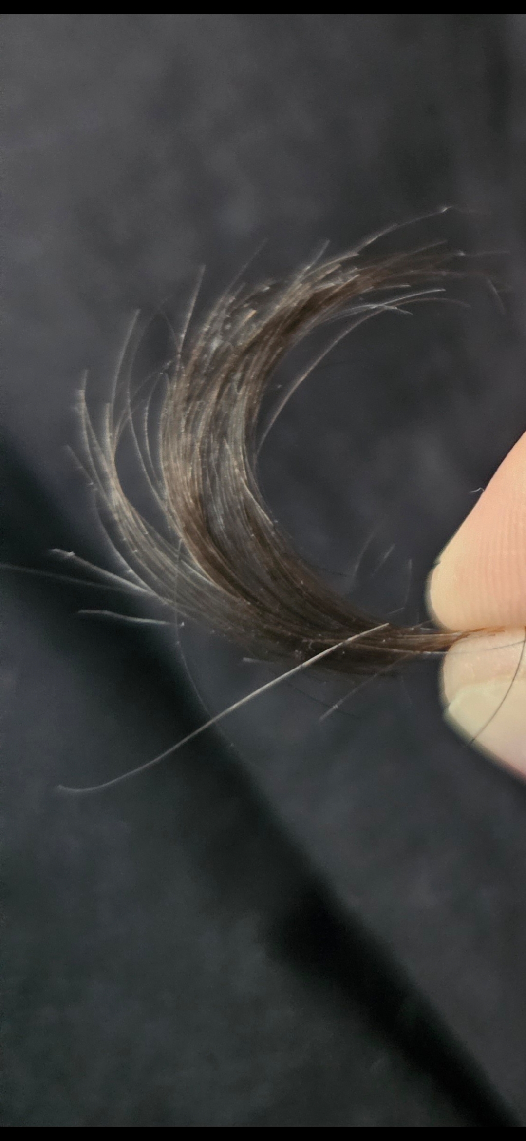 /fud/index.php/fa/35446/0/