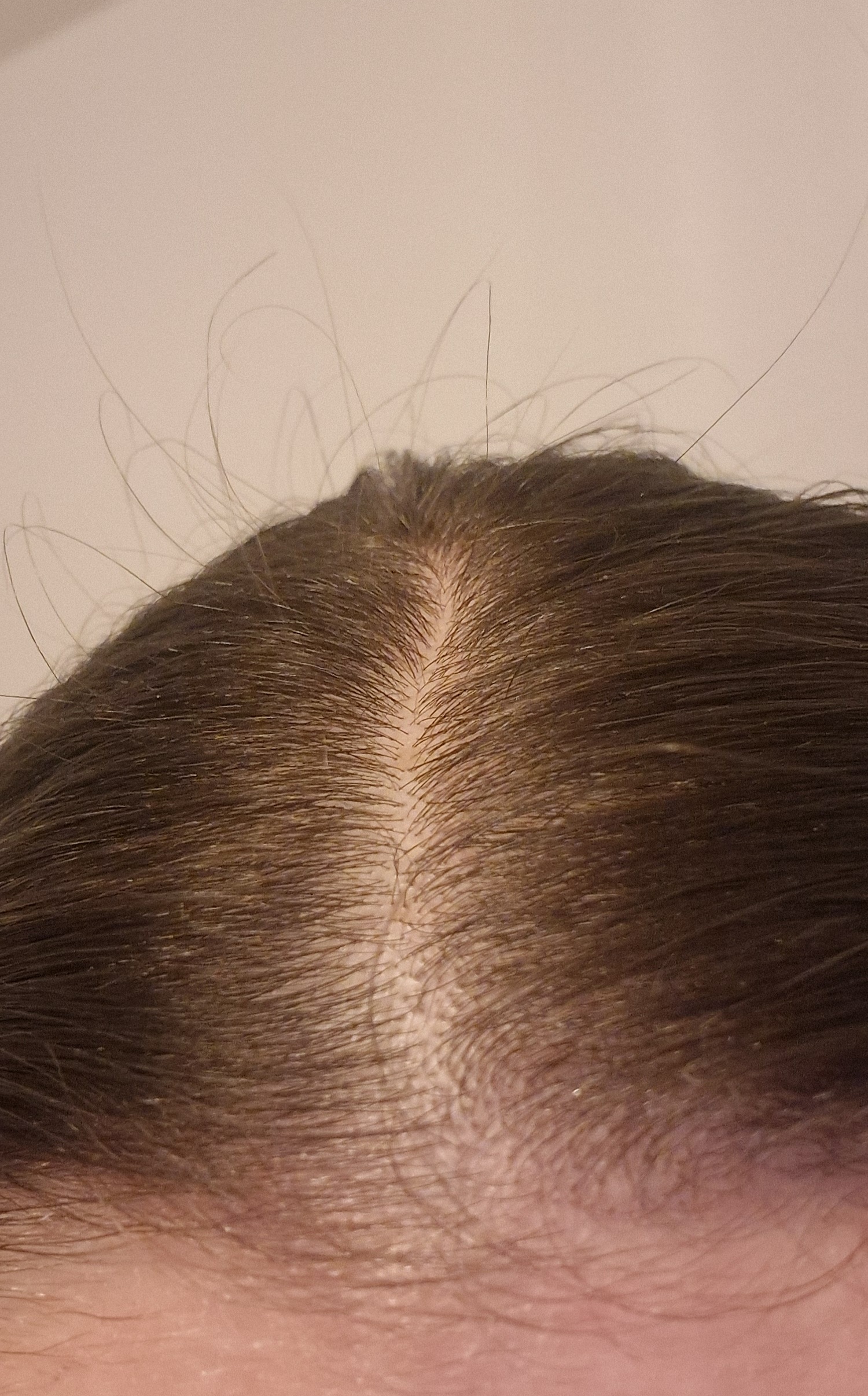 /fud/index.php/fa/36003/0/