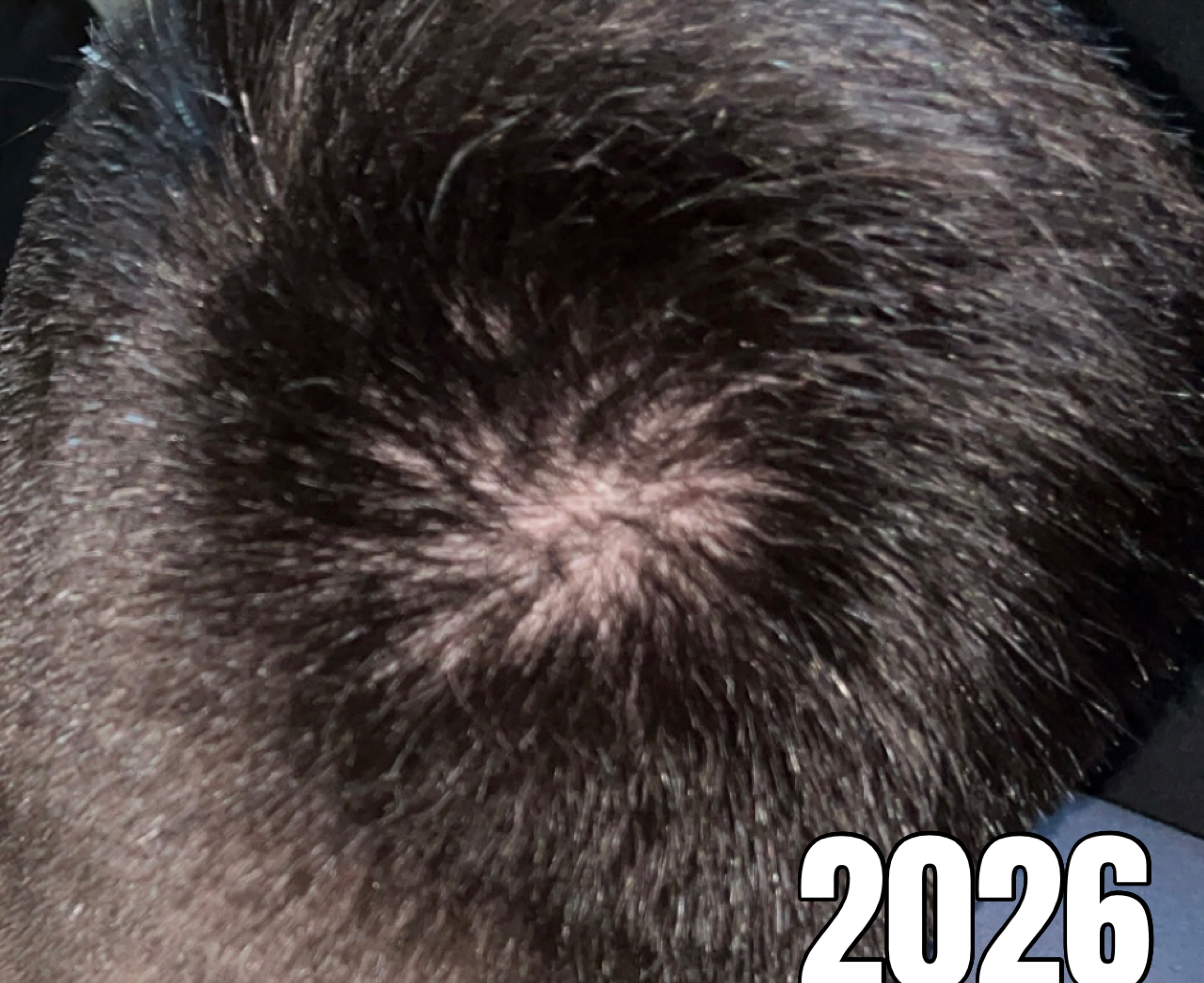 /fud/index.php/fa/36281/0/