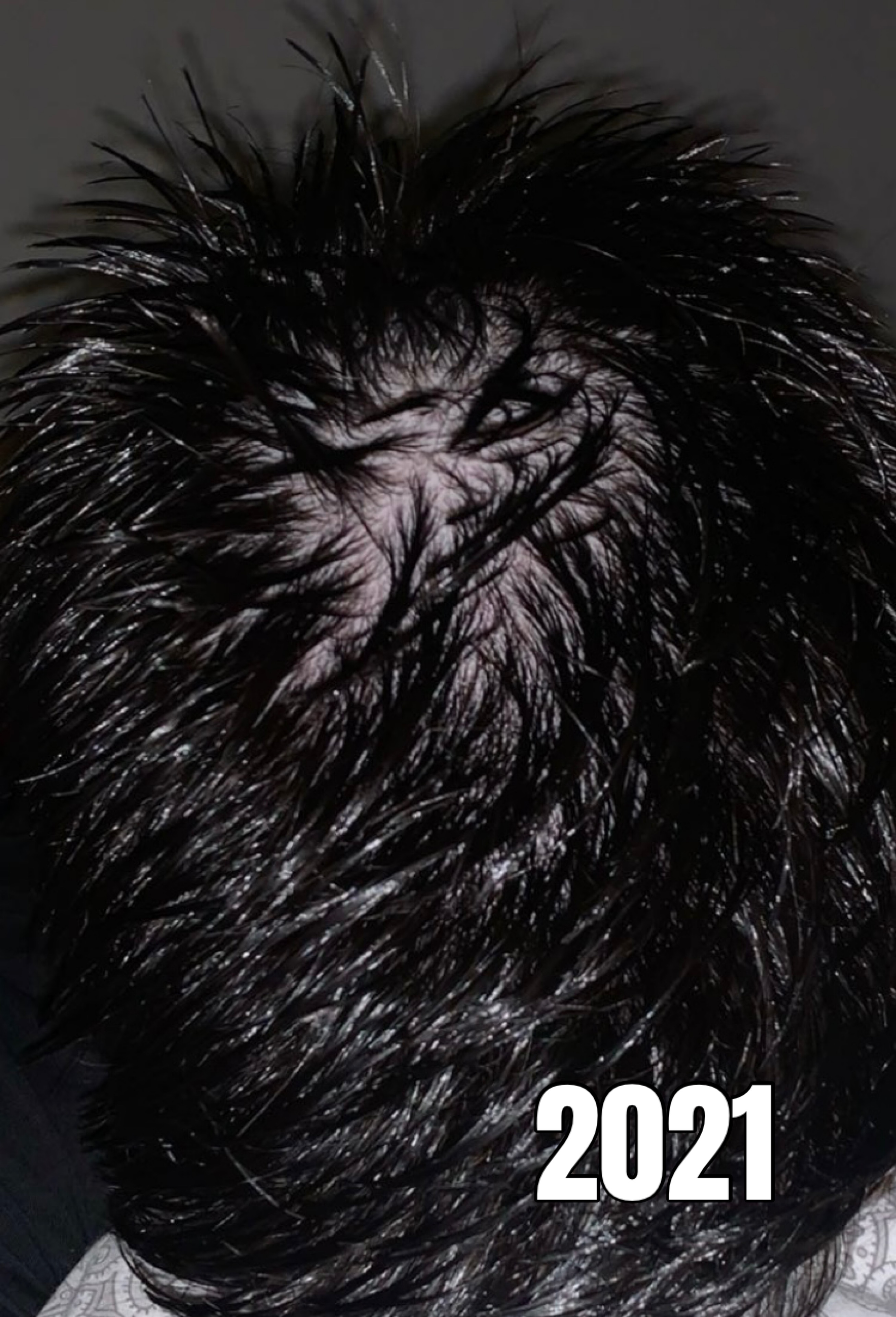 /fud/index.php/fa/36283/0/