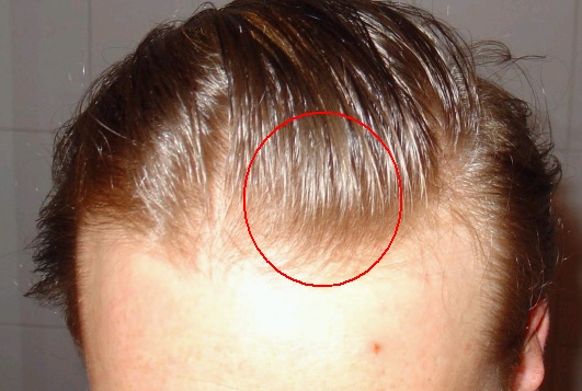 index.php/fa/3784/0/