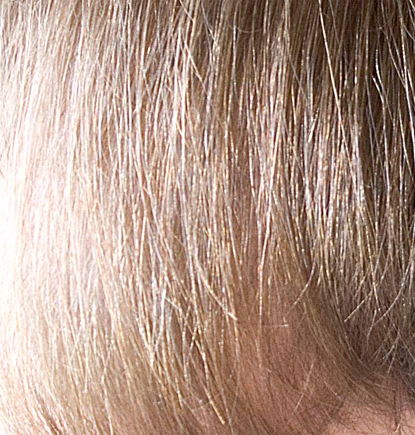 index.php/fa/3902/0/