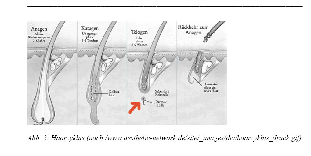 index.php/fa/4138/0/