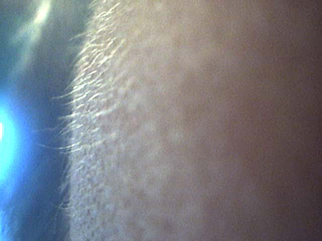 index.php/fa/4166/0/