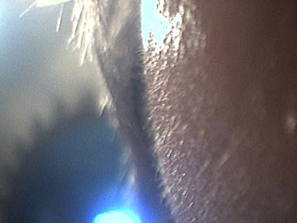 index.php/fa/4167/0/