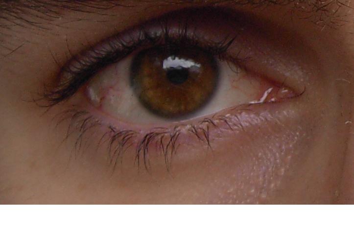 index.php/fa/4501/0/