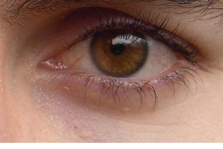 index.php/fa/4503/0/