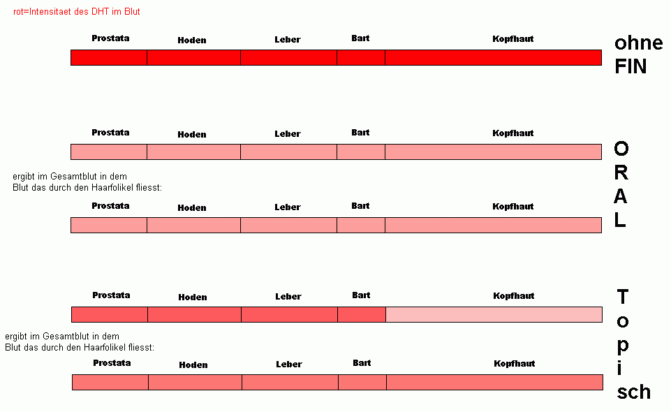 index.php/fa/4674/0/