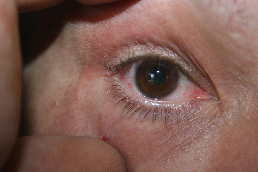 index.php/fa/4768/0/