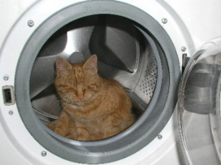 index.php/fa/4782/0/