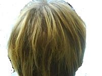 index.php/fa/4791/0/