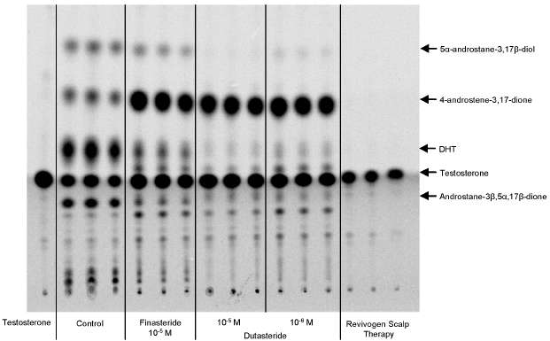 index.php/fa/4940/0/