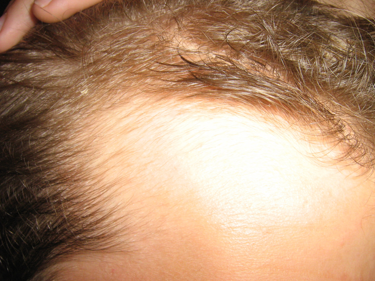 index.php/fa/5006/0/