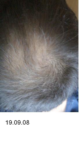 index.php/fa/5069/0/