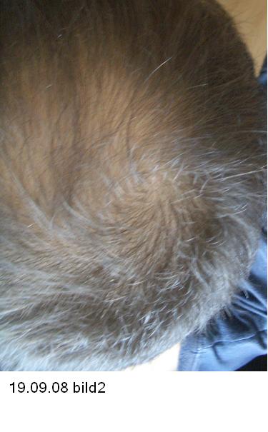 index.php/fa/5070/0/